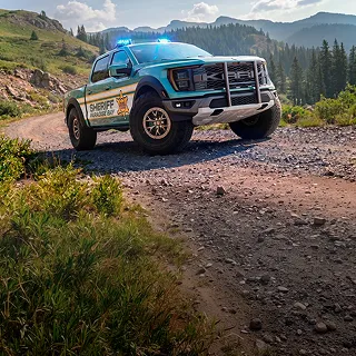 Rare Karm PBPD K-450