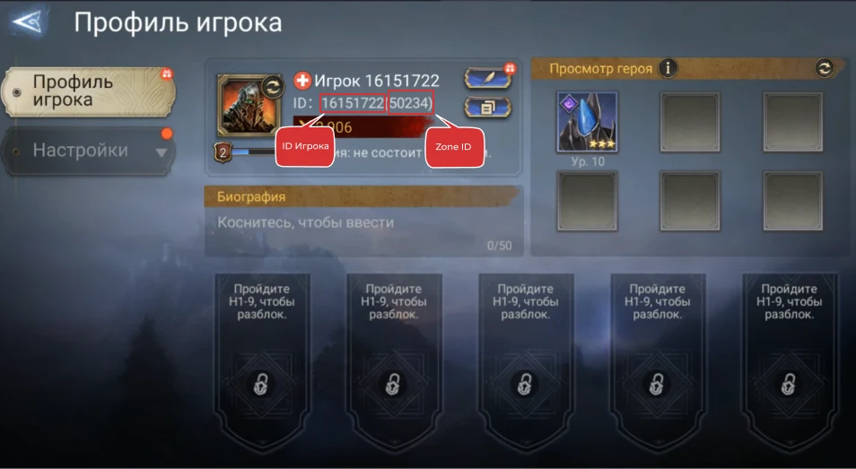 Подсказка: ID игрока