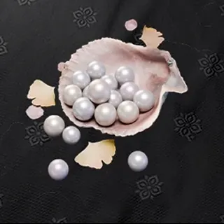 1800 + 268 Echo Beads