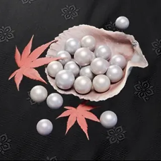 3000 + 458 Echo Beads