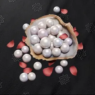 12000 + 2400 Echo Beads