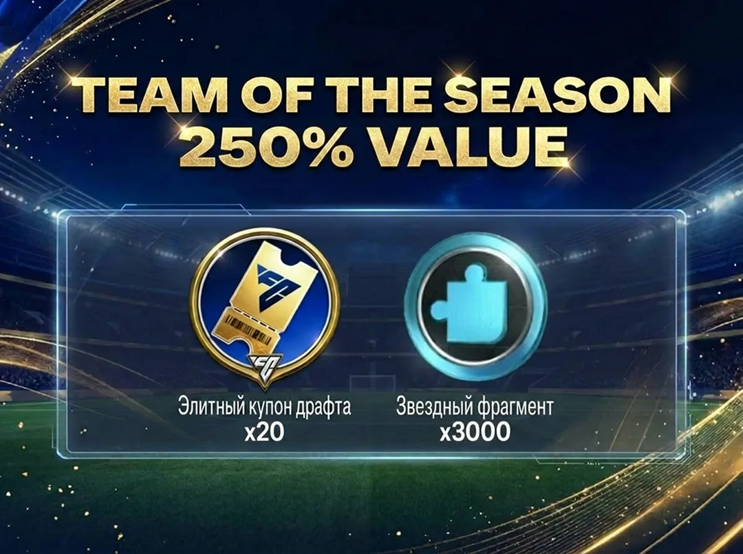 TEAM OF THE SEASON 250%