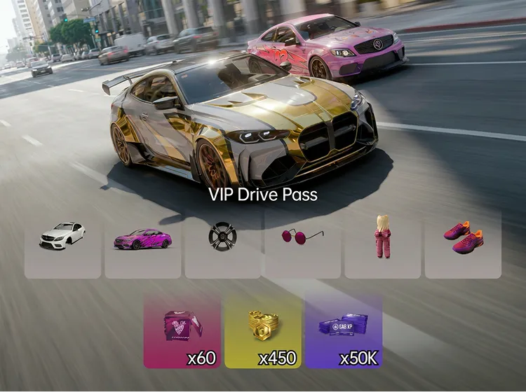 VIP Drive Pass